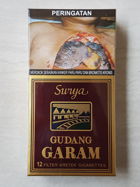 Gudang Garam Surya 12's